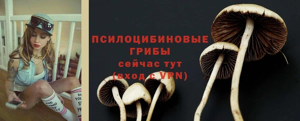 кокаин премиум Новодвинск