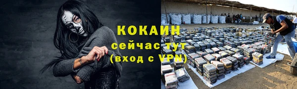 ПСИЛОЦИБИНОВЫЕ ГРИБЫ Новокубанск